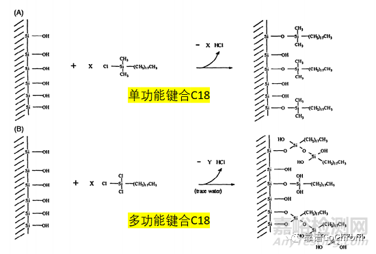 C18種類和官能團介紹
