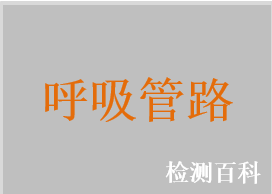 麻醉呼吸管路，抗靜電呼吸管路（黑色），重復(fù)性使用硅橡膠呼吸管路，一次性使用呼吸管路，加熱呼吸管路，氣體波紋連接管